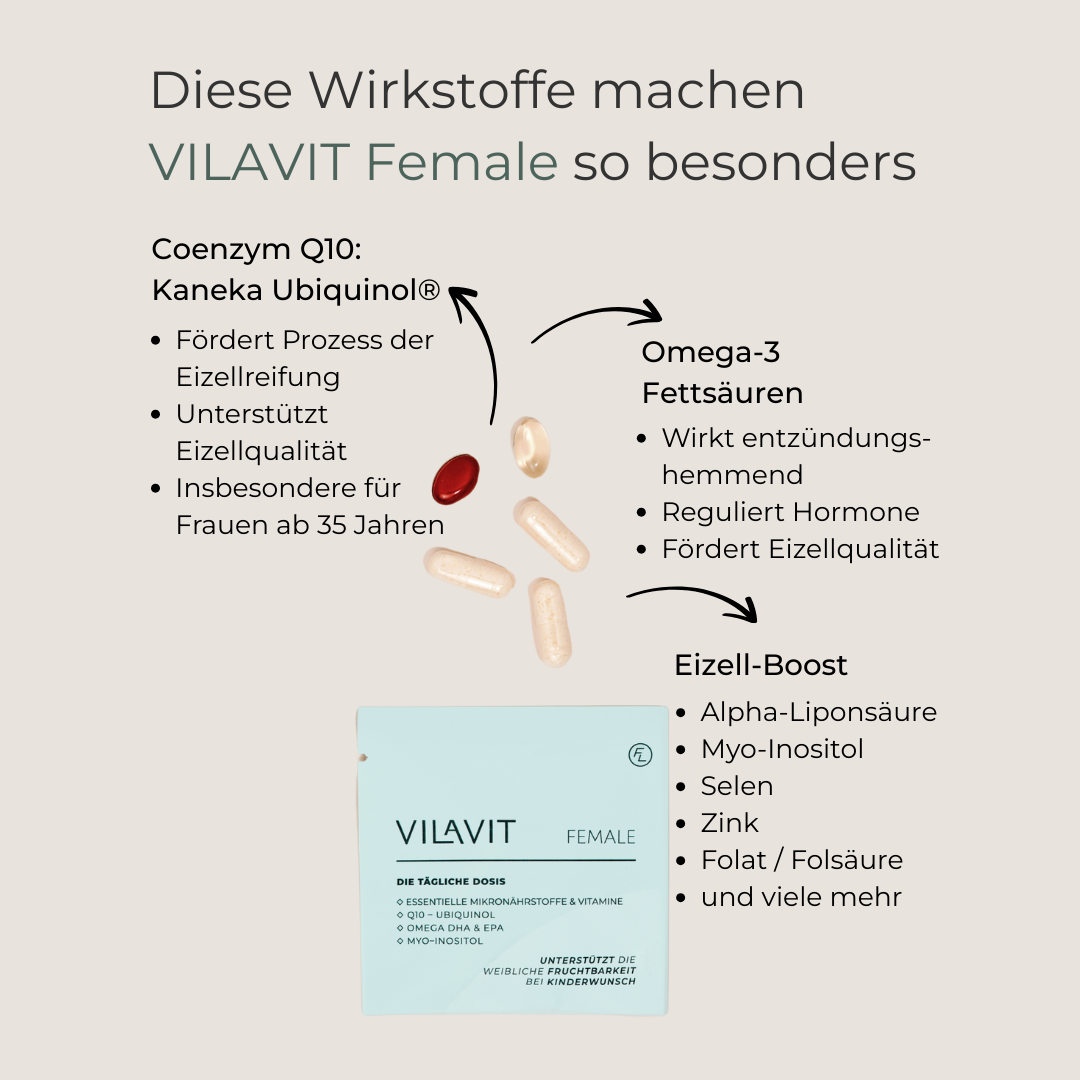 VILAVIT Female