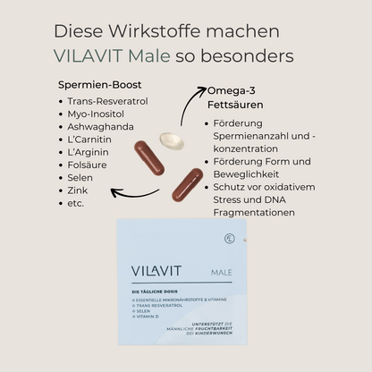 VILAVIT Male