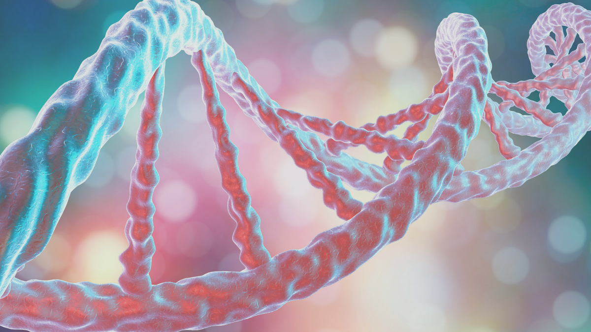 EMBRACE-Test und nicht-invasive-PID: Erhöhen sie die Schwangerschaftsraten?