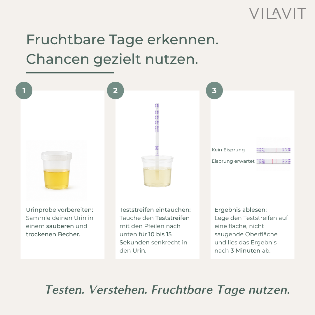 Ovulationstest Anwendung